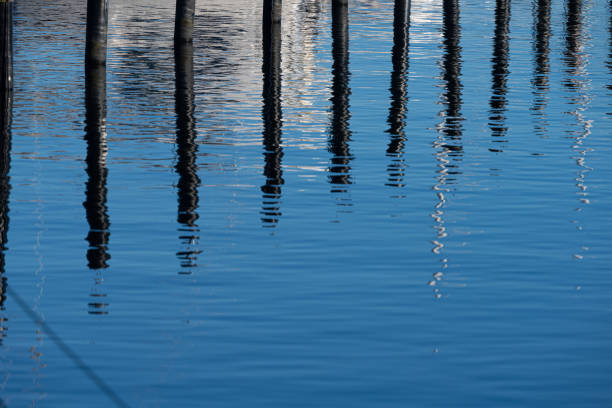 istock Reflections of mooring poles at a marina.. 1562975529