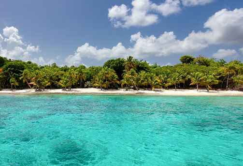 Palm trees at Beautiful tropical beach on Little Thatch Island, British Virgin Islands