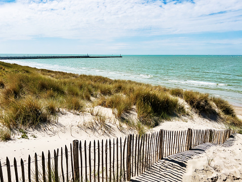 a beautyfull sand dune at the north sea coast with grass