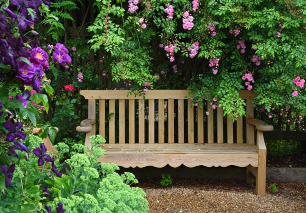istock Garden Bench and Climbing Rose with other plants 1562980421