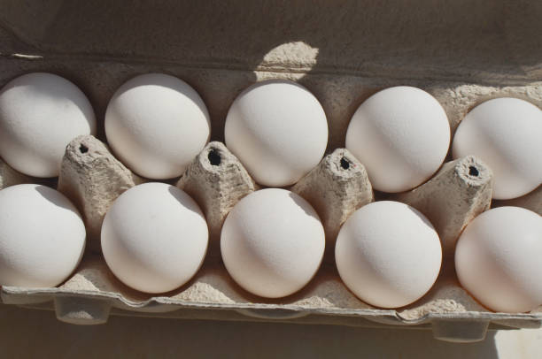 istock Generously sized egg whites featured in detailed packaging, ideal for culinary preparations. 1562988053