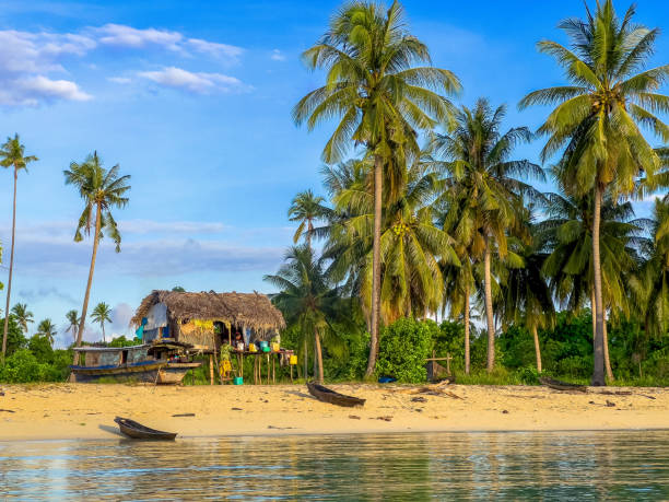 istock Serene Shores: A Tranquil Seaside Village with towering coconut trees. 1562988591