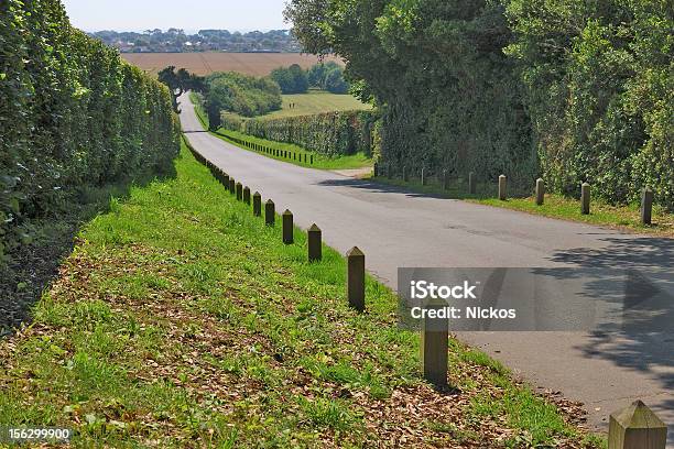 Photo libre de droit de Le Hill Country Lane Sussex Angleterre banque d'images et plus d'images libres de droit de Angleterre - Angleterre, Arbre, Bras de mer - Mer