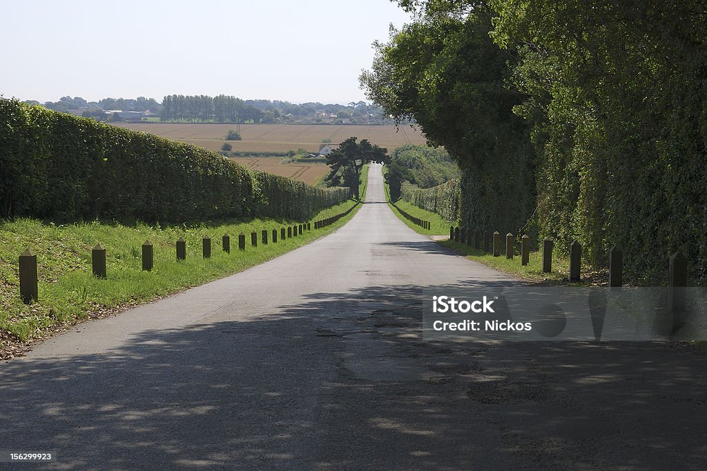 País lane down hill. Sussex. Inglaterra - Foto de stock de Campo royalty-free