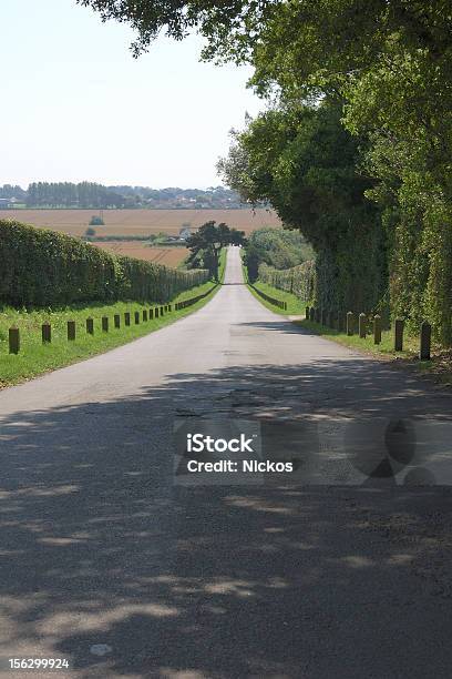 Photo libre de droit de Le Hill Country Lane Sussex Angleterre banque d'images et plus d'images libres de droit de Angleterre - Angleterre, Arbre, Bras de mer - Mer