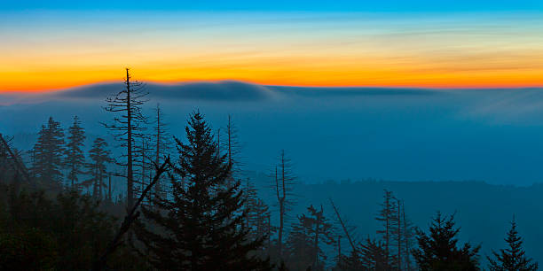이 smokies 썬라이즈 - great smoky mountains great smoky mountains national park panoramic sunrise 뉴스 사진 이미지
