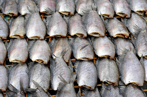 fresh fish stock photo