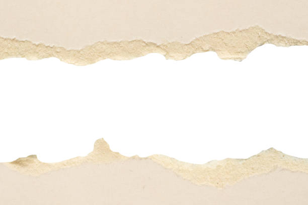 istock White ripped paper torn edges strips isolated on white background 1563010555