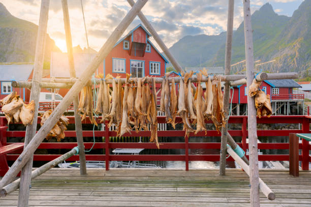 villaggio di pescatori, isole lofoten in estate, norvegia - fishing village nordic countries fjord foto e immagini stock