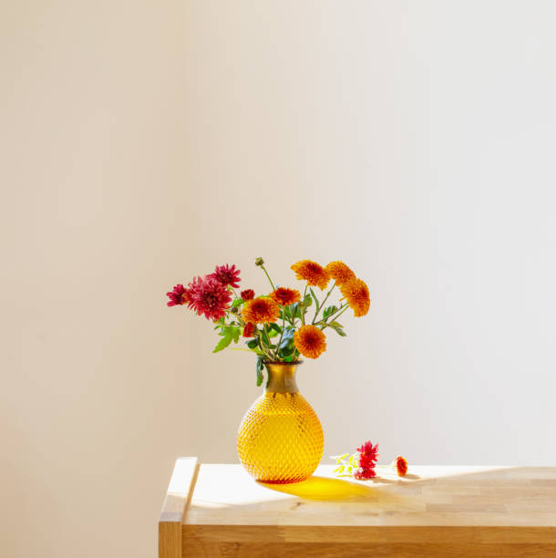 istock chrysanthemums in glass vase on white background 1563023380