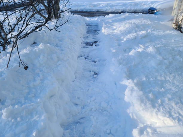 istock Shoveled Path of Snow 1563026712