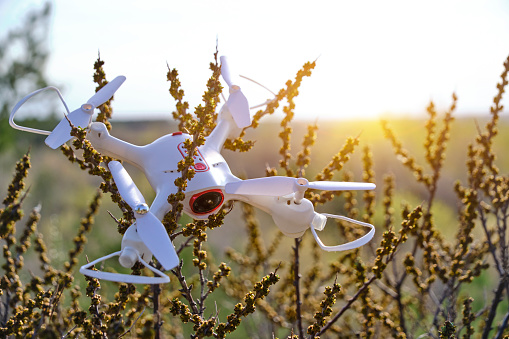 Fallen quadcopter in thicket of bushes