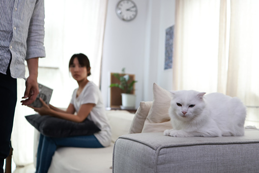 Attractive couple sitting on the floor at home in the living room with their white cat. They have a rest after a hard-working day.