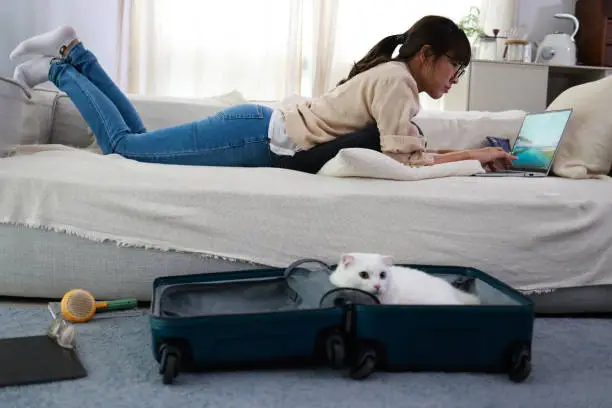 Photo of An attractive young woman in glasses is working on a laptop sitting on a sofa at home with a funny assistant cat in the luggage beside her. work from-home concept.