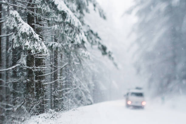 istock Vehicle on snowy forest road 156303997