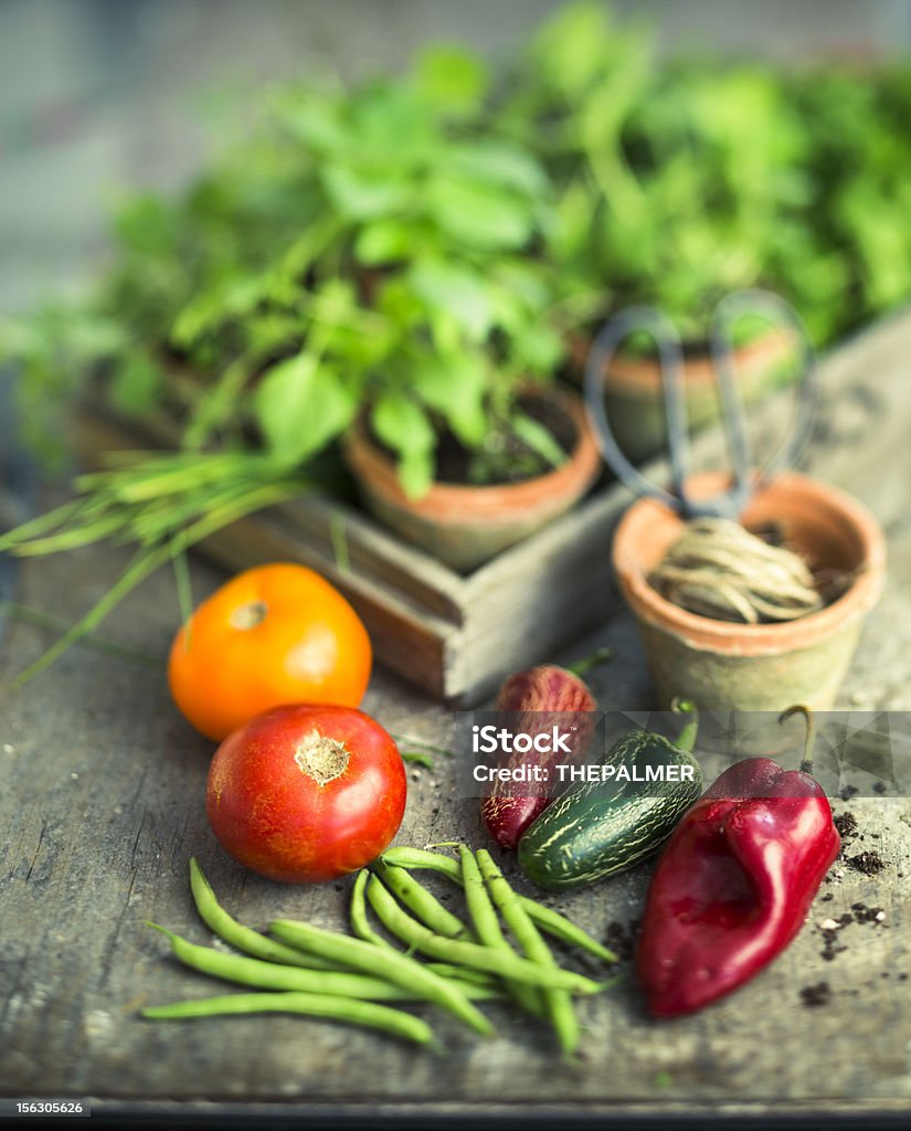 vegetables and herbs vegetables (tomatoes, green beans, peppers) and herbs on a vintage mini crate and wooden surface - old scissors and some rustic twine. Green Bean Stock Photo