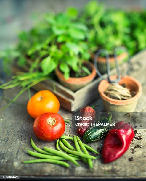 Vegetables And Herbs Stock Photo - Download Image Now - Green Bean, Green Color, Ingredient