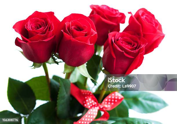 Ramo De Rosas Rojas Foto de stock y más banco de imágenes de Belleza de la naturaleza - Belleza de la naturaleza, Buqué, Cinta