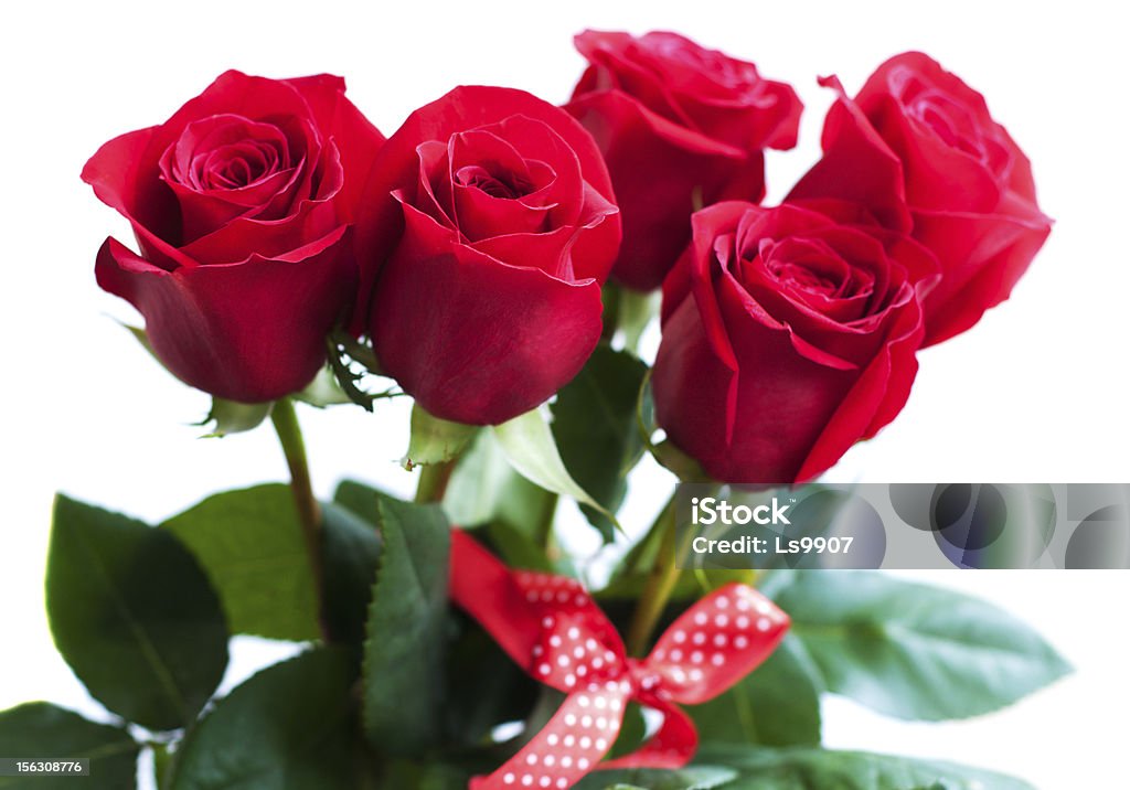 Bouquet de rosas vermelhas - Royalty-free Beleza natural Foto de stock