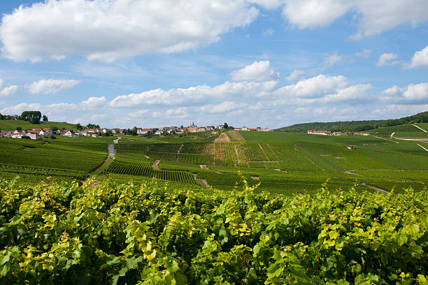 istock View on village in Champaign region 156309371