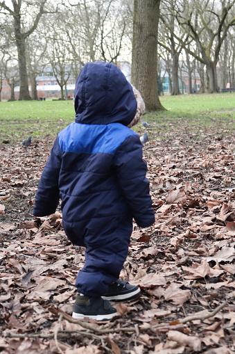 Toddler walking in the park