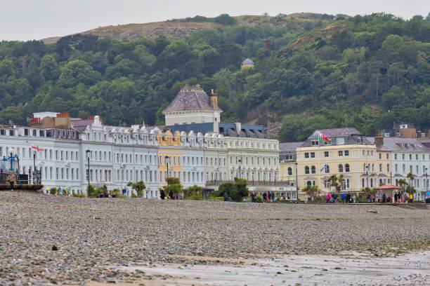 istock Beautiful colorful beachfront houses 1563128147