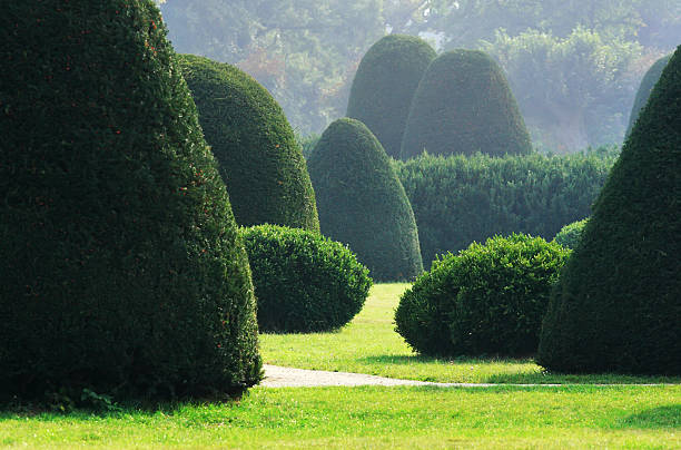 istock English garden 156314298