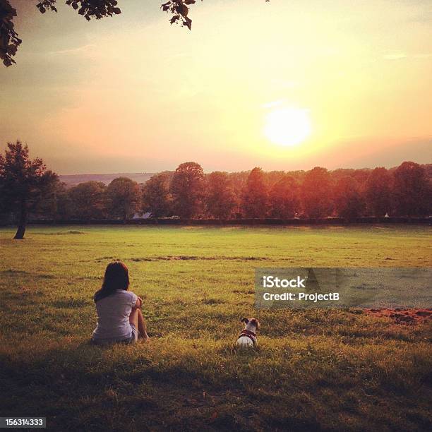 Frauen Mit Jack Russell Hund Beobachten Den Sonnenuntergang Stockfoto und mehr Bilder von Baum