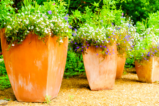 Group of four orange ceramic planters, one a bit tilted, with similar floral and foliage arrangements in a public garden, with digital painting effect, for ornamental, horticultural and summer motifs