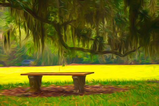 Simple bench beneath a southern live oak (binomial name: Quercus virginiana) with Spanish moss (Tillandsia usneoides) by sunny lawn in central Florida, with digital painting effect