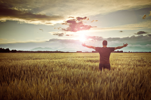 Man standing in a wheat field contemplating the sunset.
