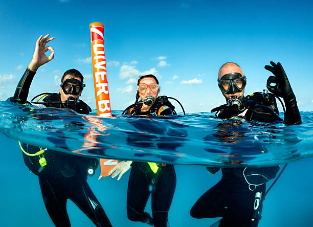 mergulho autônomo equipe - mergulho autônomo - fotografias e filmes do acervo