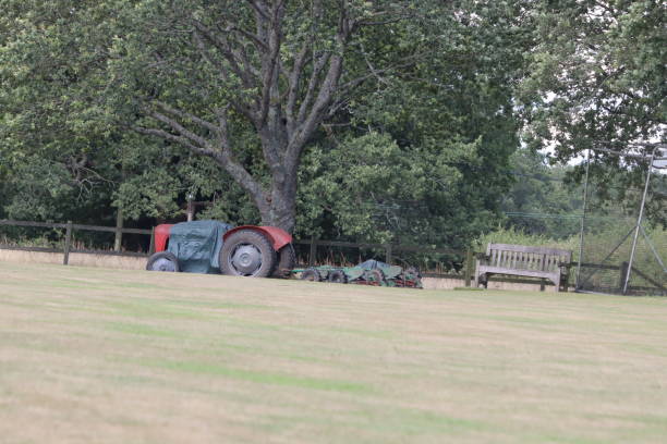 istock Country life 1563245800