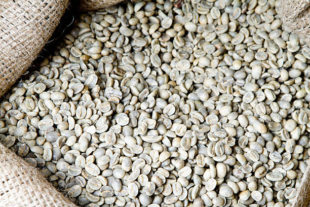 Raw Coffee Beans in a Burlap Sack