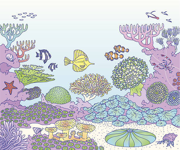 リーフ - soft coral illustrations点のイラスト素材／クリップアート素材／マンガ素材／アイコン素材