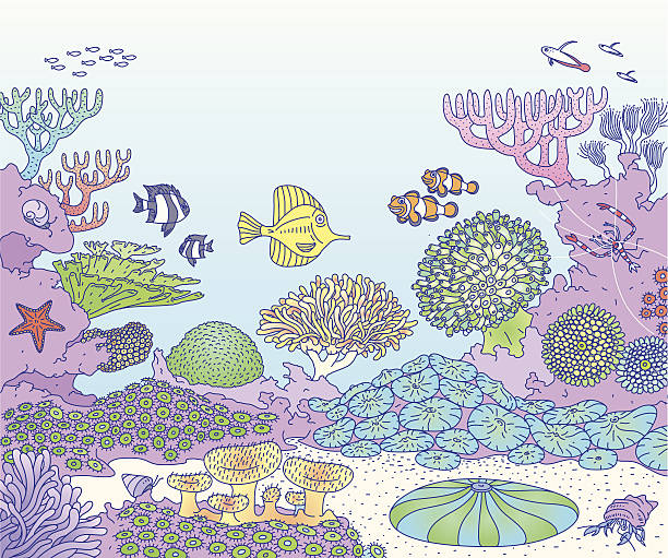 Reef An illustration of a reef with all sort of inhabitants. Including: shrimp goby stock illustrations