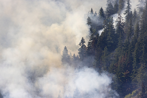 Smoke rises from the Tunnel 5 fire in steep terrain on the banks of the Columbia River, Washington.