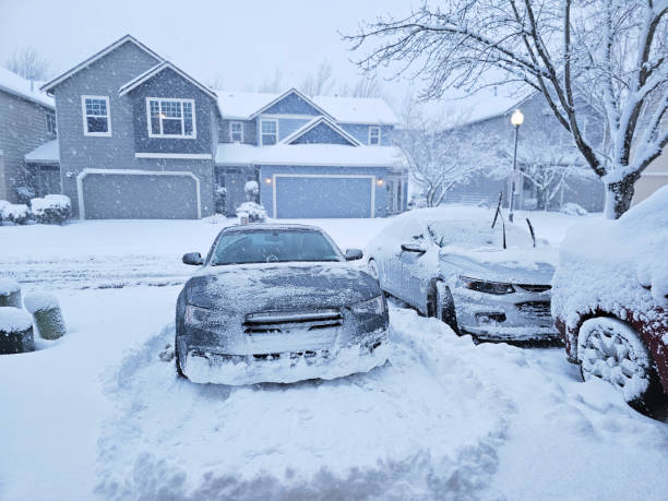 istock Snowstorm Car Driveway. 1563258045