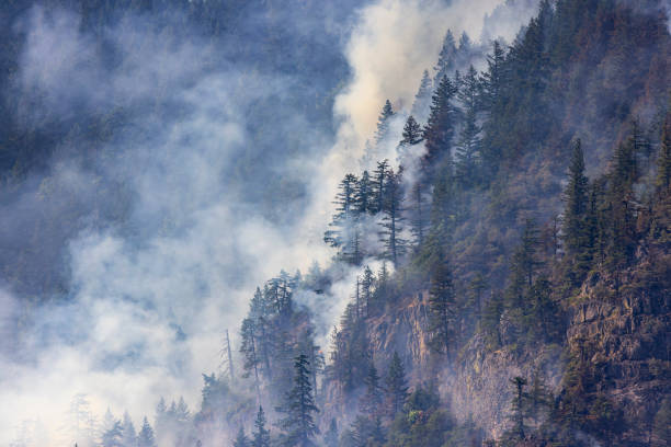 istock Tunnel 5 Fire Washington Columbia River Gorge. 1563266053