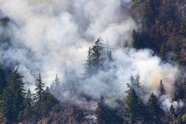 istock Washington Columbia River Gorge Tunnel 5 Fire . 1563269937