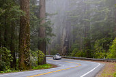 Del Norte Coast Redwoods State Park Highway 101.