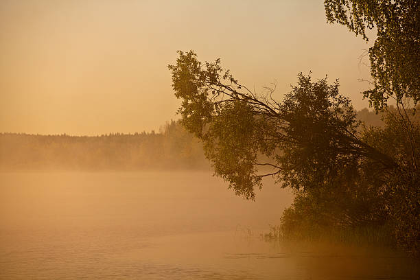 Morning Fog stock photo