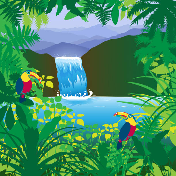 ilustrações de stock, clip art, desenhos animados e ícones de catarata de selva - waterfall cartoon tropical rainforest vector