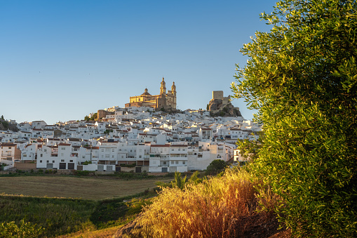 Olvera Skyline at sunset with Castle and Church - Olvera, Andalusia, Spain