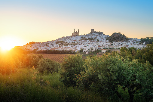 Olvera Skyline at sunset with Olive Trees - Olvera, Andalusia, Spain
