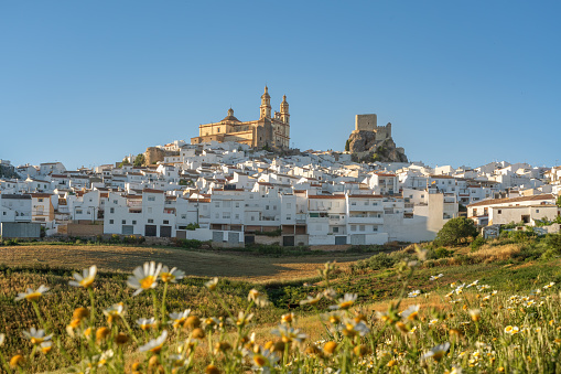 Olvera Skyline at sunset with wildflowers - Olvera, Andalusia, Spain