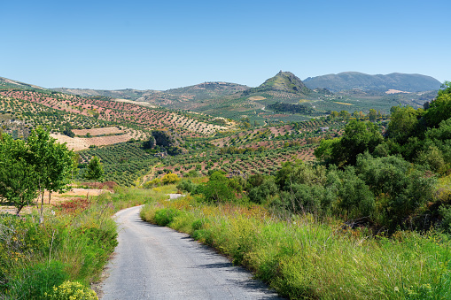 Via Verde de la Sierra greenway with the Iron Castle of Pruna - Olvera, Andalusia, Spain