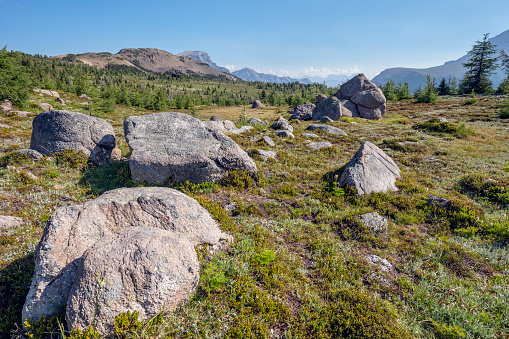 Large boulders in Sunshine Meadows in Banff National Park, Alberta, Canada
