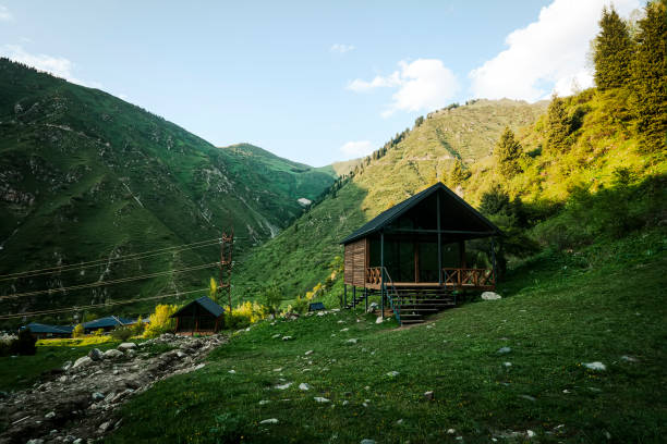 istock Forest and small house in it summer day 1563371692