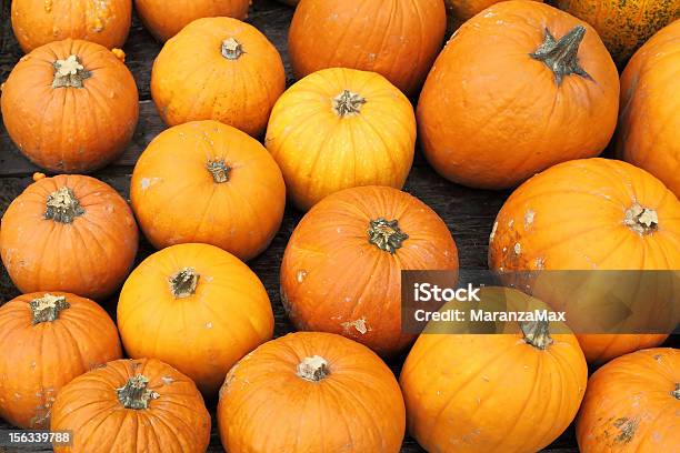 Оранжевый Pumpkins — стоковые фотографии и другие картинки Без людей - Без людей, Бутылочная тыква, В ряд